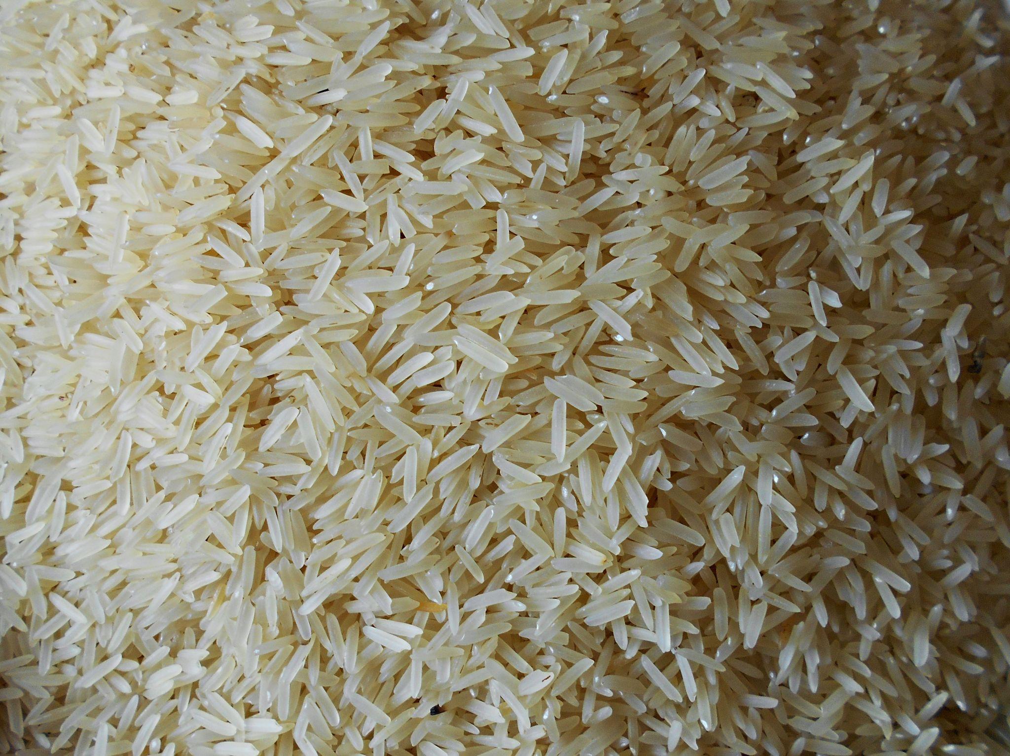 White Sella Basmati Rice - Image 2